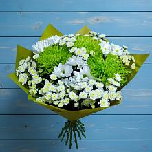 Букет цветов из:  Хризантемы #REPLACE_PRED# Кропачёво