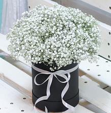 Цветочная композиция из Гипсофила в шляпной коробке #REPLACE_PRED# Кропачёво